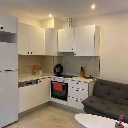 Rose 5 * アランヤ